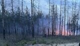Лісова пожежа біля Лиману