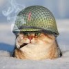 Виктор Покуса