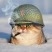 Виктор Покуса