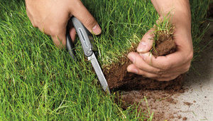 РЕФЕРЕНДУМ ЯК ЗАСІБ ПРОТИ ВЕЛИКОЇ ЗЕМЕЛЬНОЇ АФЕРИ