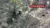 знищення