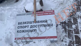 "Безкоштовний спорт доступний кожному": в Киеве расчищают снег лопатами, сделанными из агиток Кличко. ФОТО ДНЯ