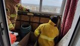 На балконі однієї з багатоповерхівок у Дніпрі рятувальники виявили понад 500 кажанів, - ДСНС. ФОТОрепортаж