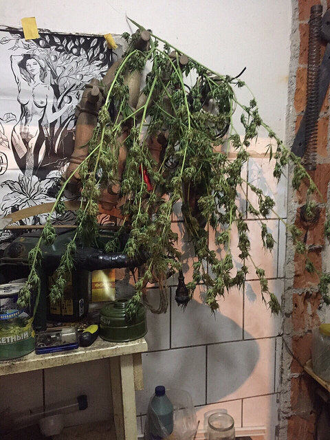 наркотики