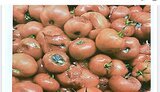 закупівлі