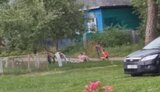 діти,семенівка
