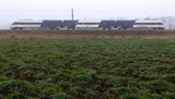 "Укрзализныця" не планирует закупать новые дизель-поезда в 2020 году, – КВСЗ