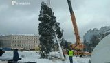 киев,елка