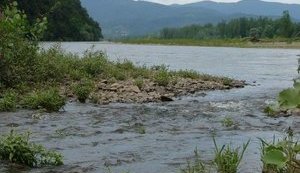 На украинско-венгерской границе создадут видеосистему для мониторинга реки Тиса