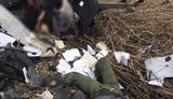 В Запорожской области кадыровцы обстреляли и переехали танком авто "Укрпочты", которым развозили пенсии: двое погибших.. ФОТО