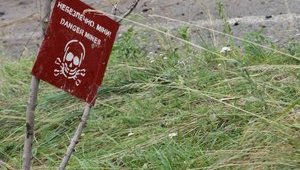 Terrorists are Conducting Mine Warfare contrary to the Ottawa Convention - Ministry of Defense. PHOTOS