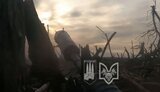 зсу,вовки,бій