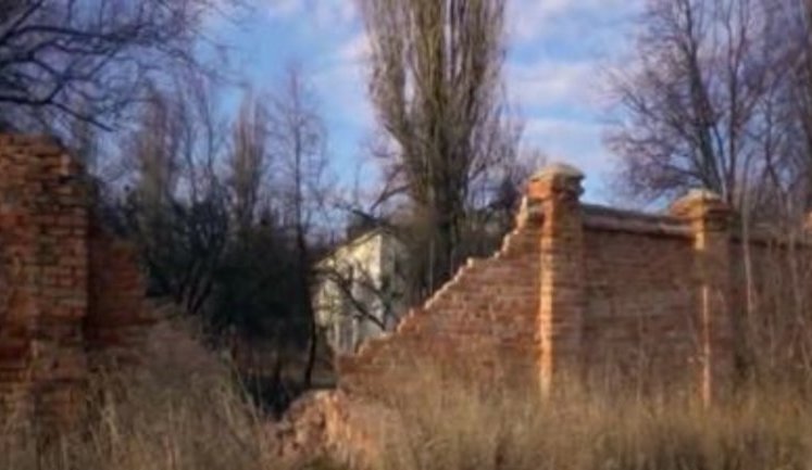 "Ківа судимий за корупційний злочин і амністований за сумнівних обставин", - "Наші гроші" показали психлікарню, в якій за документами лікувався нардеп від ОПЗЖ. ВIДЕО