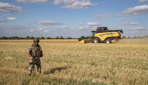 Врожаї на окупованих територіях впали до найнижчого рівня з 2003 року, – ЦНС