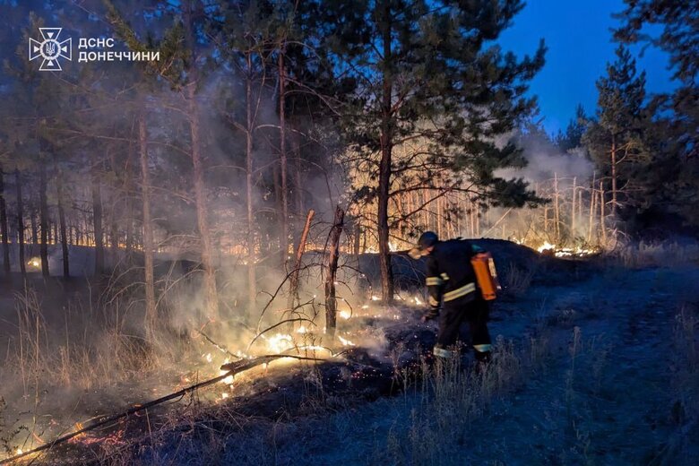 Лісова пожежа на Донеччині