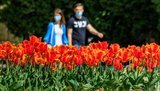 Маски и социальная дистанция будут обязательными при внедрении адаптивного карантина, - совещание у Зеленского