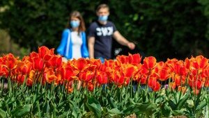 Маски и социальная дистанция будут обязательными при внедрении адаптивного карантина, - совещание у Зеленского