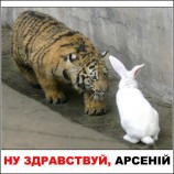 Ну, здравствуй, Арсений...