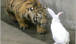 Ну, здравствуй, Арсений...