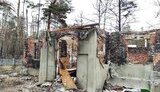 восстановление лесхозов Харьковщины