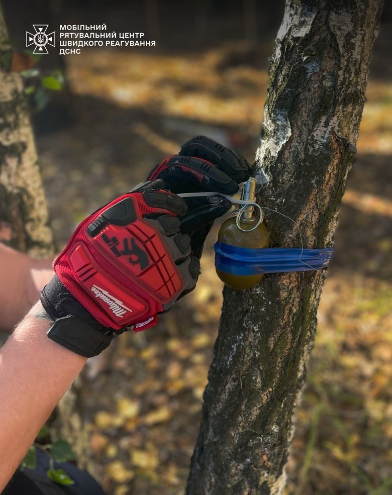 Combat grenade in Kyiv region