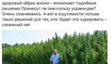 матвиенков терещенко