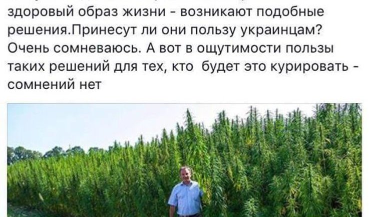 Мэр Терещенко ответил "оппоблоковцу" Матвиенкову, который раскритиковал инициативу с коноплей: "За что вам платят зарплату?"