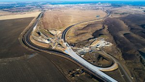 Окупанти вирубають 7,8 тис. червонокнижних дерев у Криму, щоб розчистити ділянку під будівництво траси