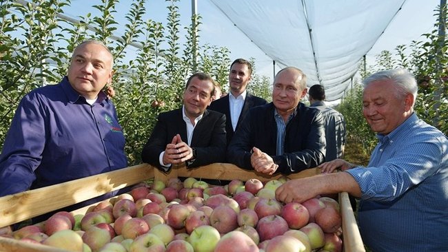 Смерть журналистки Скабеевой 02