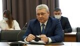 борзілов