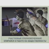 Голубая дружина