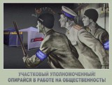 Голубая дружина