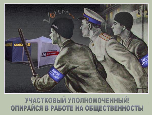 Голубая дружина