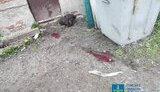 сумщина