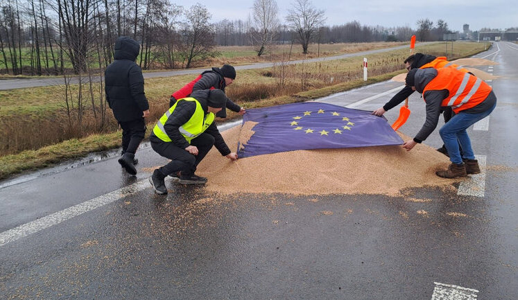 Найбільший імпортер з ЄС: які продукти Польща постачає в Україну
