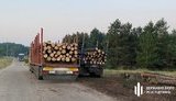 Преступная группировка пыталась заработать на прошлогодних лесных пожарах в Луганской области, - ГБР. ВИДЕО+ФОТОрепортаж