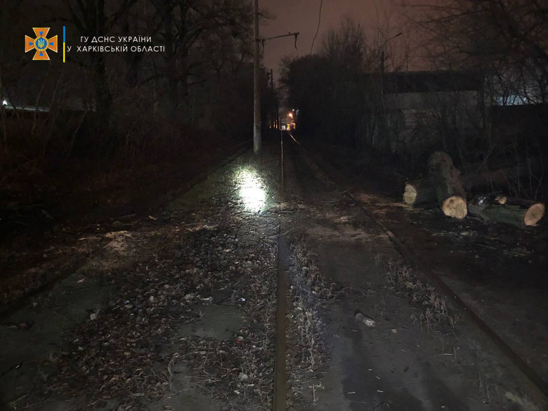 Поваленные деревья и обрывы линий электропередачи: Спасатели ликвидировали последствия непогоды в Харькове 03