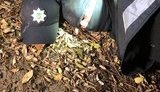 На Волині затримали грабіжників, які видавали себе за поліцейських. ФОТОрепортаж
