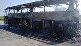 Автобус "Сарни-Київ" згорів дощенту в Житомирській області