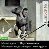 Обезяна с гранатой