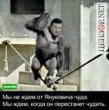 Обезяна с гранатой