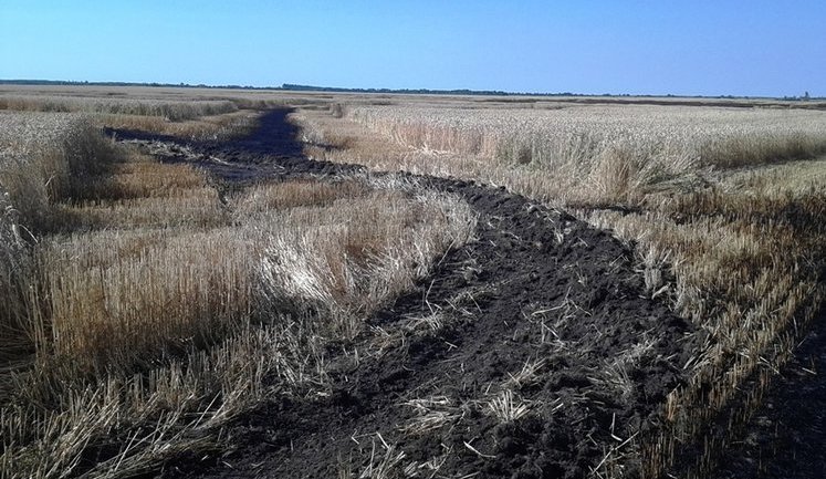 5 га пшениці згоріло на Житомирщині. ФОТОрепортаж