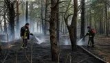 Пожежа у заповіднику Древлянський