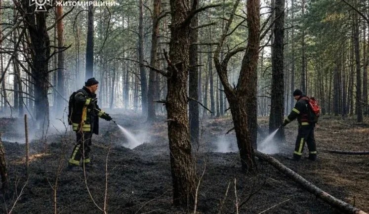 На Житомирщині загасили пожежу в заповіднику "Древлянський", що виникла через російські обстріли. ФОТОрепортаж