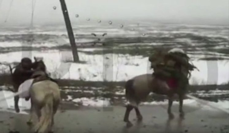 Дрон 36-ї бригади "Вартові" знищив двох російських піхотинців на конях - тварини не постраждали. ВIДЕО