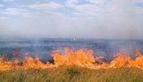В оккупированной "Аскании-Новой" огонь уничтожил более 6,3 тыс. га: выгорело уже 60% одного из участков. ФОТО