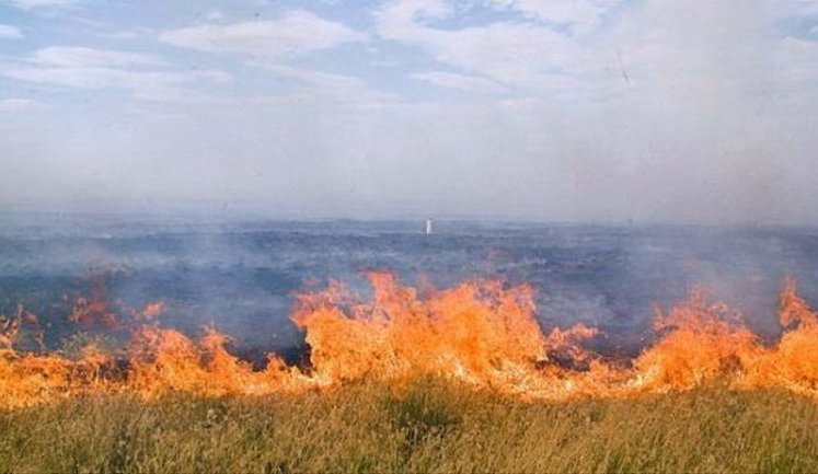 В оккупированной "Аскании-Новой" огонь уничтожил более 6,3 тыс. га: выгорело уже 60% одного из участков. ФОТО