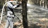 пожар тушение