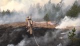 Всі осередки вогню на Житомирщині локалізовано, - ДСНС