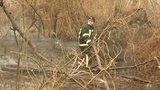 Винуватцю пожежі в зоні ЧАЕС повідомили про підозру: на чоловіка чекає суд. ФОТО